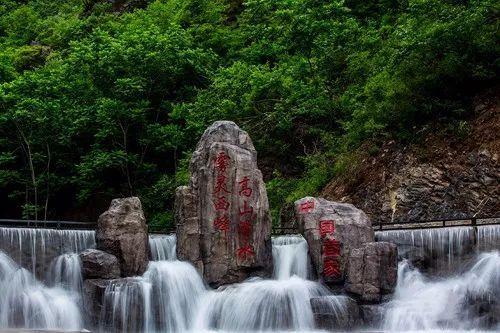 《繁花》里人人都讨厌的她，我却很欣赏